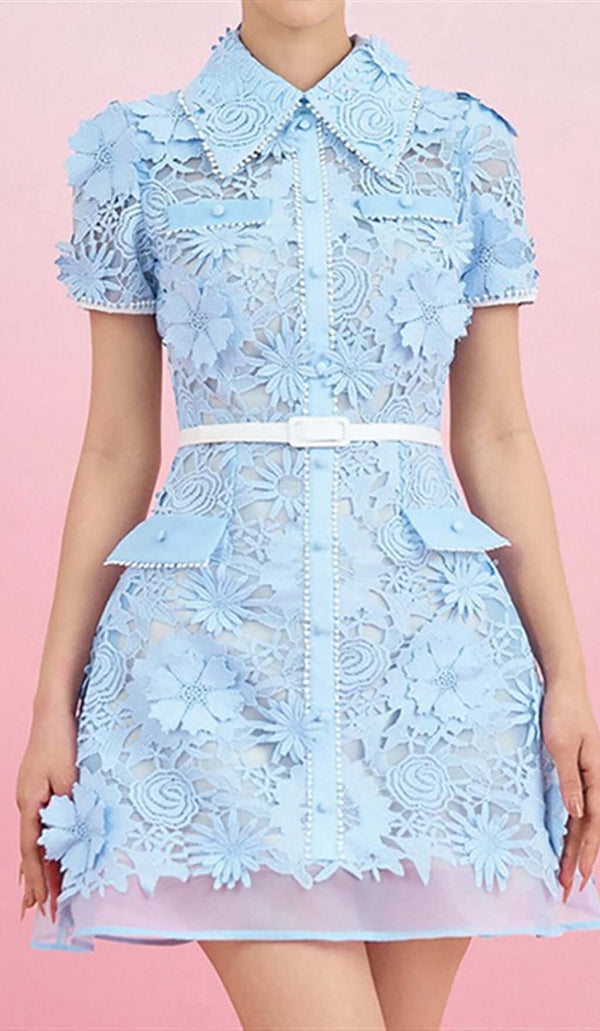 A-LINE FLORAL EMBROIDERY MINI DRESS IN BLUE-Fashionslee